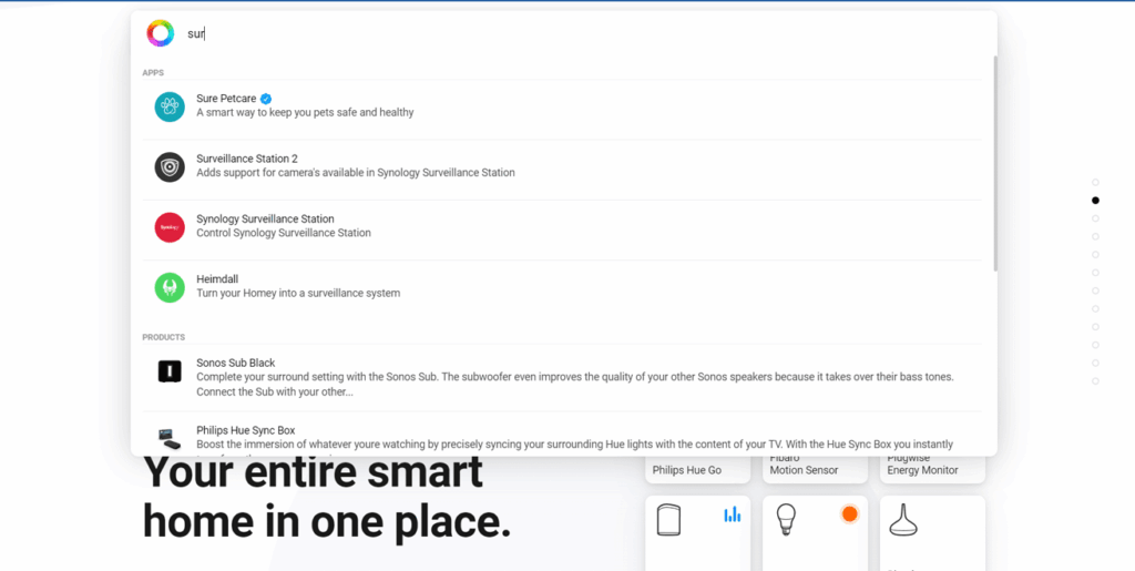 homey: Onsite Search Best practices Example 1